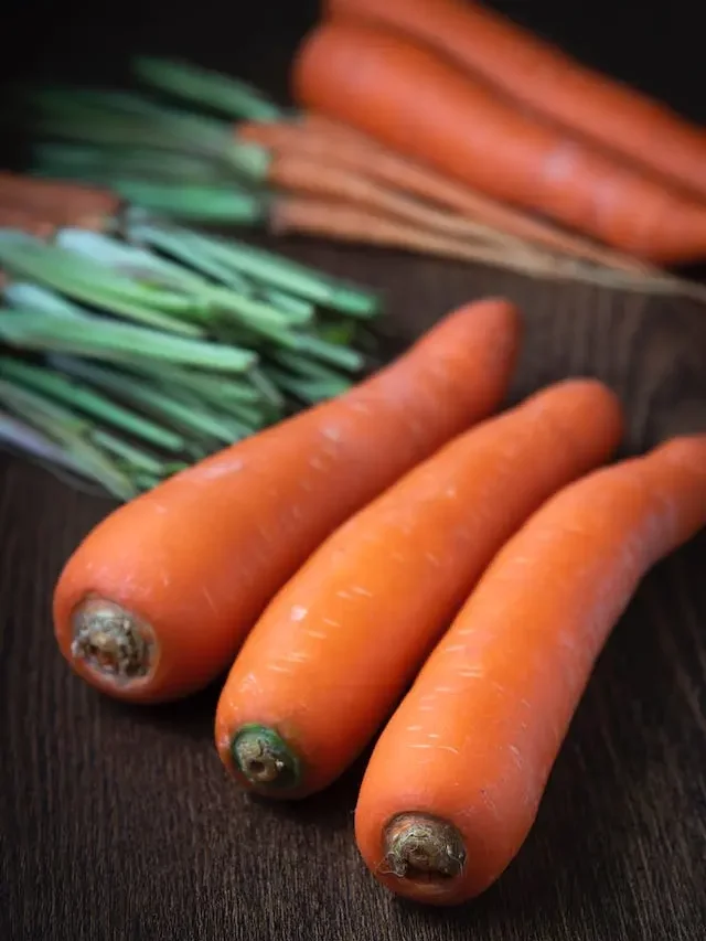 Carrot Benefits: हैरान हो जायेंगे आप गाजर के ये 8 अद्भुत फायदे और उपयोग जानकर?