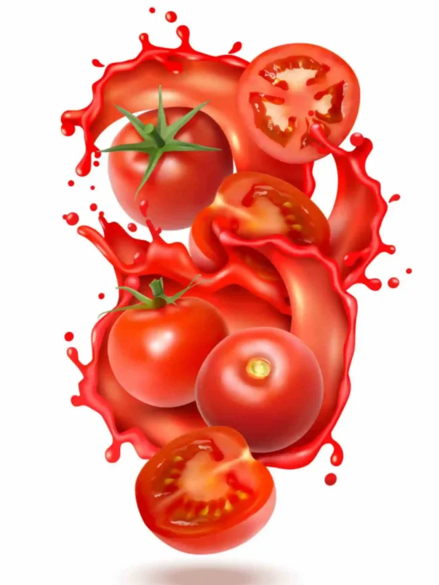 Tomato Sauce business: दुनिया मे इसी बिज़नेस का है भविष्य, ऐसे कमाए करोडो