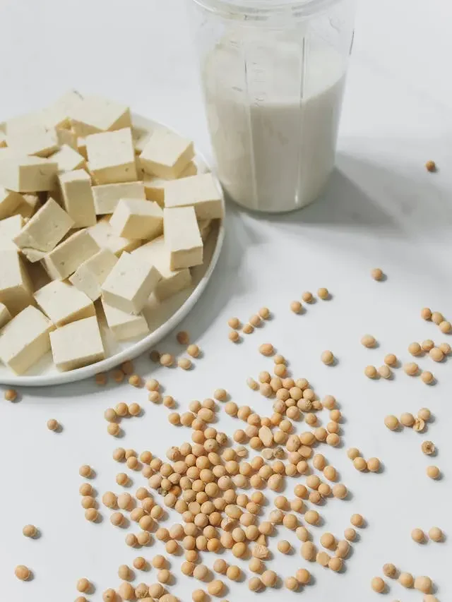 Tofu Nutrition: What Is Tofu and Is It Nutritious for your health?